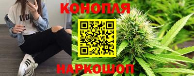 гидра Краснознаменск