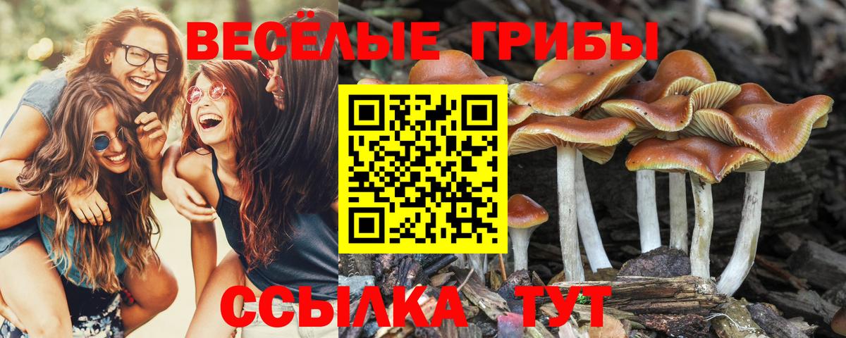 Галлюциногенные грибы MAGIC MUSHROOMS Фролово